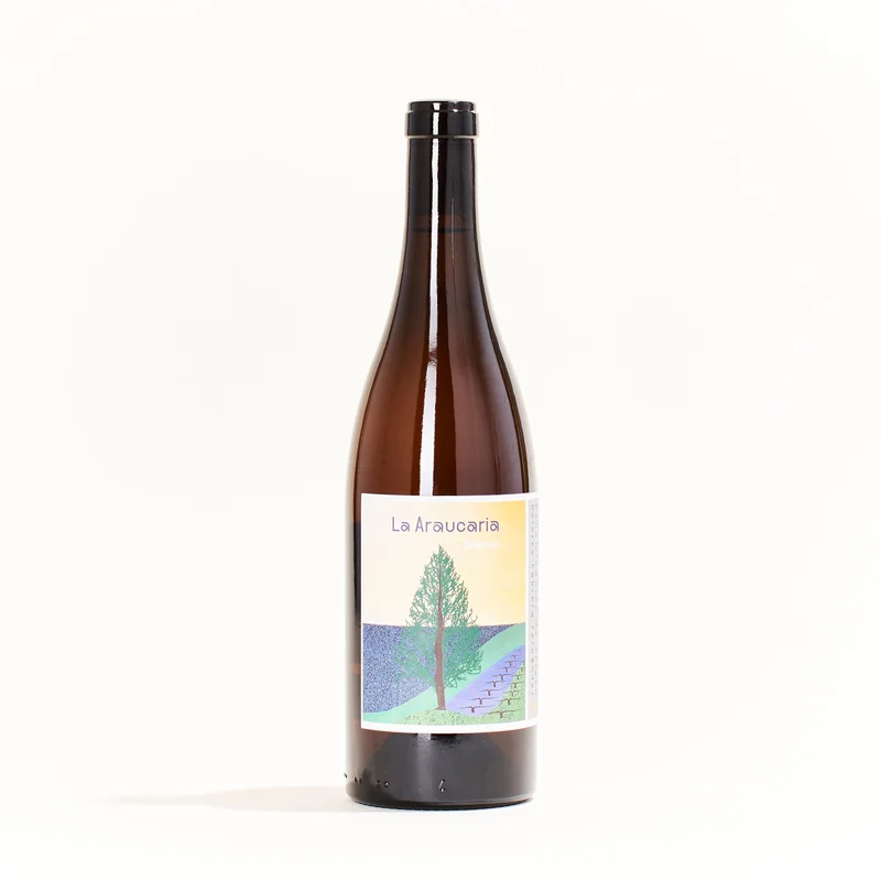 mysa.wine2737661